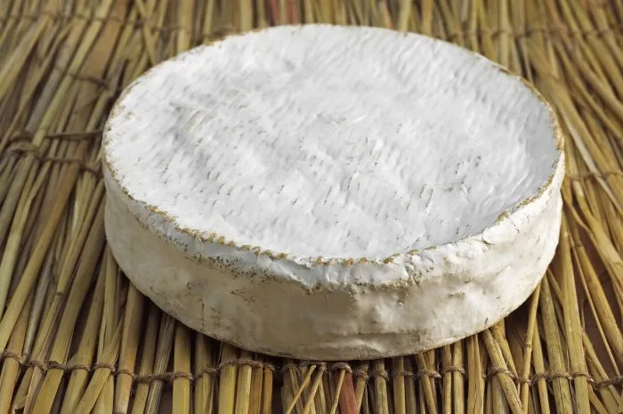 french cheese called coulommiers, cheese made with cow's milk