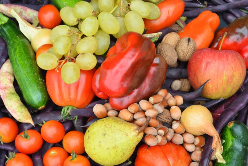 agriculture from biological fields without pesticides