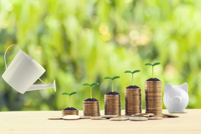 saving money for future growth concept  water being poured on green sprout on rows of increasing coins on wood table in the natural green background banking and finance, depicts asset security for sustainable growth