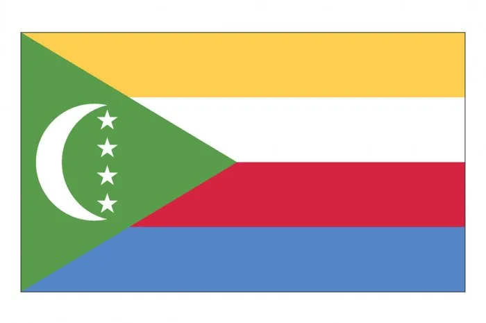 vector illustration of the flag of comoros