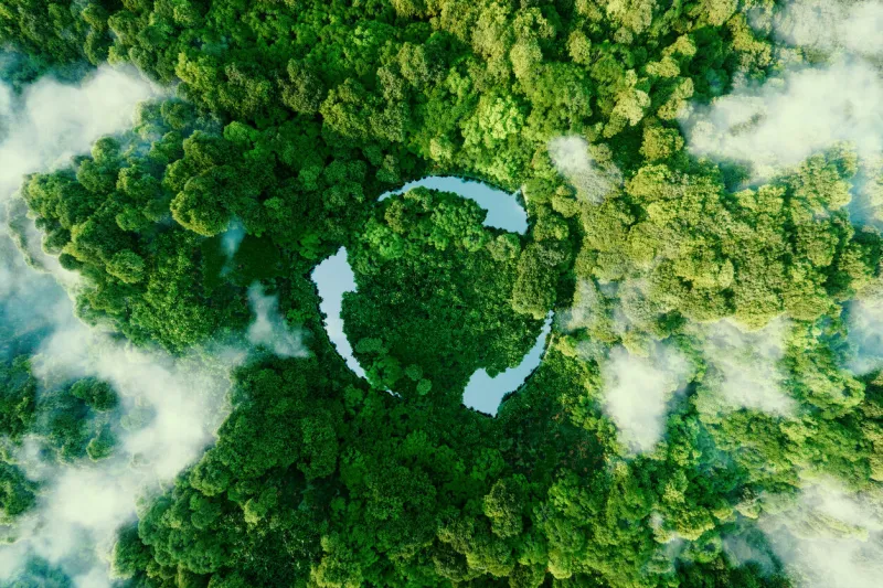 abstract icon representing the ecological call to recycle and reuse in the form of a pond with a recycling symbol in the middle of a beautiful untouched jungle 3d rendering