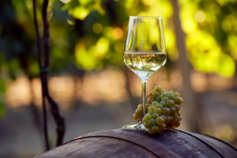 a glass of white wine with grapes on a barrel