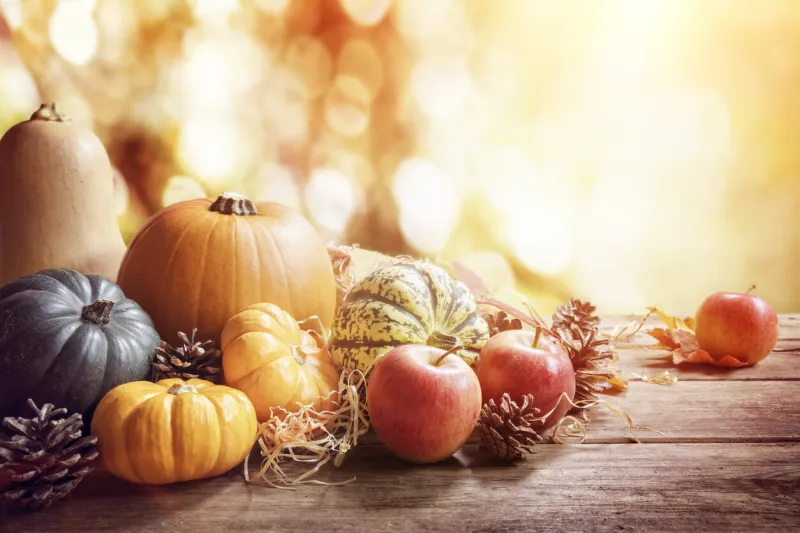 thanksgiving, fall or autumn greeting background with pumpkin on table