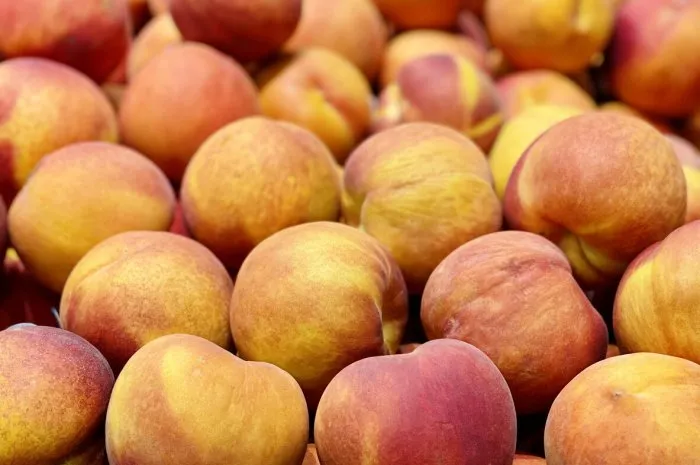 group of fresh peaches