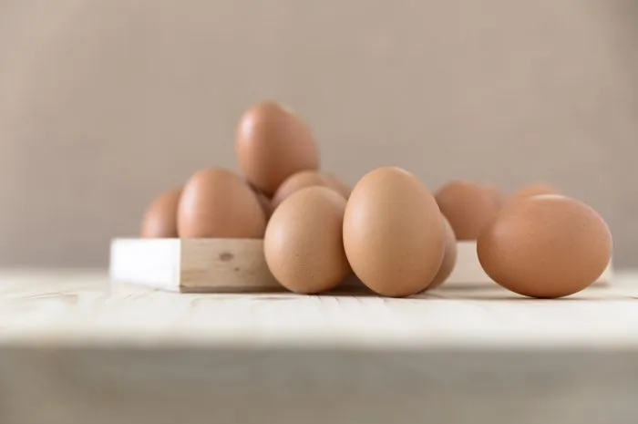 chicken eggs, selective focus
