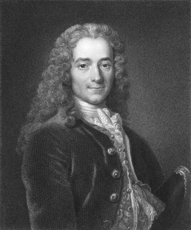 a painted portrait of voltaire