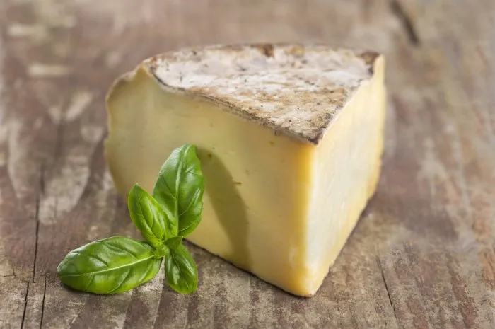 french montain cheese - tomme de savoie cheese