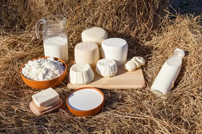 dairy products milk, sour cream, cheese and butter on a background of hay various types of cheese, sour cream and cottage cheese in a clay cup, milk in a bottle and a jar eco farm dairy products