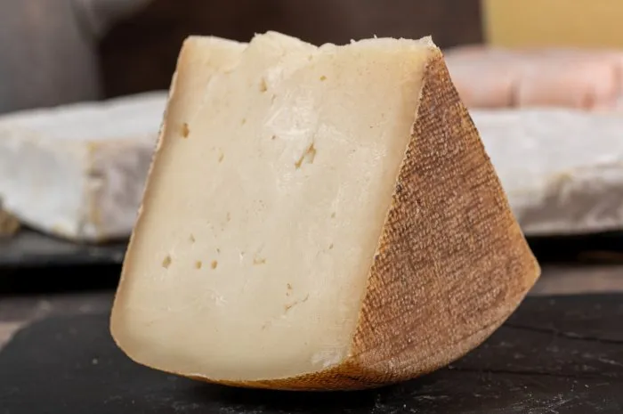 goat cheese tomme or tome, produced in the french pyrenees