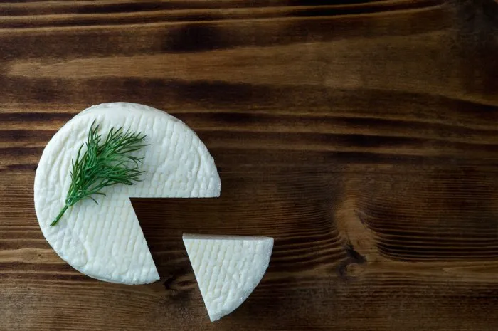 homemade cheese wheel and dill on dark wooden board top view