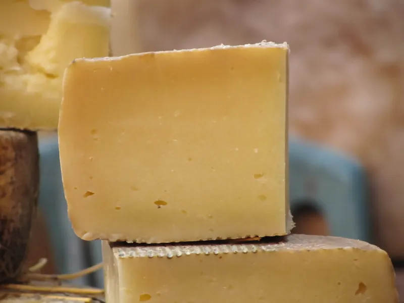 delicious tuscan pecorino cheese made from ewe's raw milk