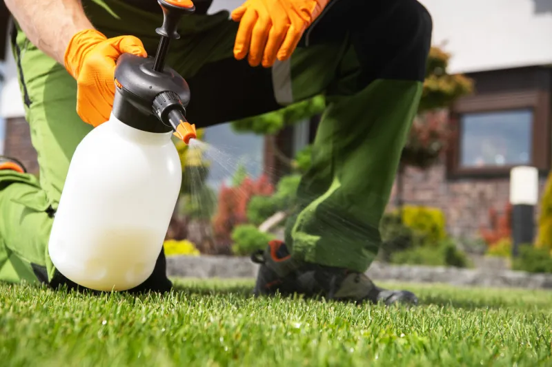 caucasian men fighting grass lawn weeds by spraying chemicals