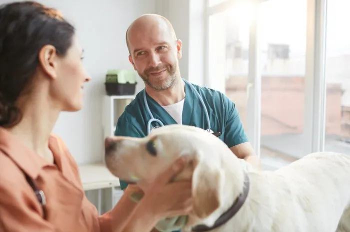 waist up portrait of mature veterinarian smiling at young woman while examining white dog, copy space