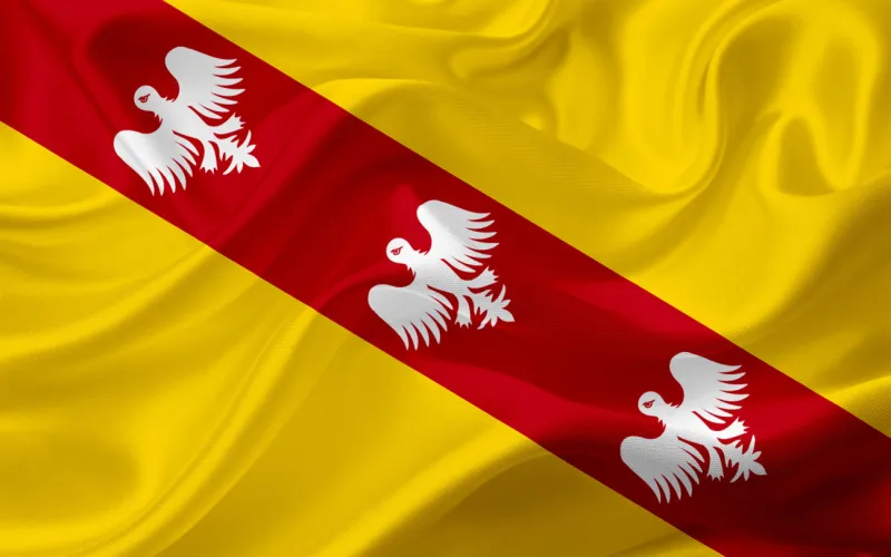 3d illustration of national flag with waving fabric texture background