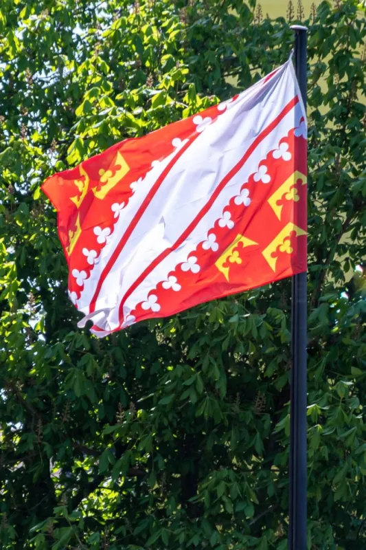 flag of the french region of alsace