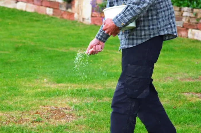 one man farmer is fertilizing the lawn soil male hand of worker, fertilizer for lawns in springtime for the perfect lawn lawn fertilizer in man's hand on garden background panoramic view
