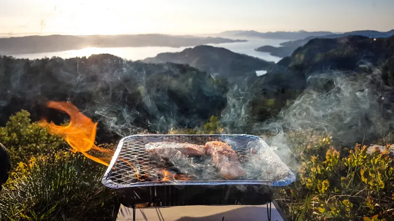 a picknick grill placed on the ground, on the hill with a beautiful and stunning view on the fjord two salmon fillets are placed on the grill, smoking slowly on a huge fire outdoor activities