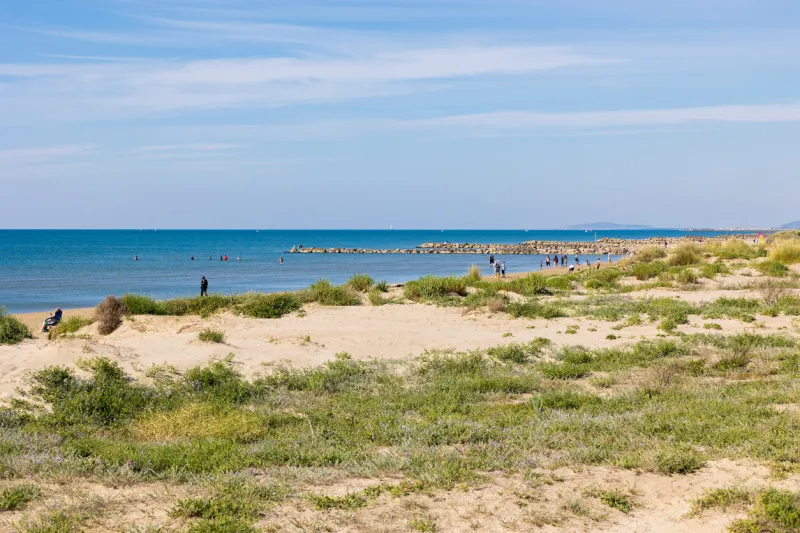 dunes of petit travers beach in carnon, near montpellier, in spring (occitanie, france)