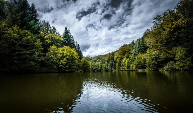 forest bordering lake confracourt