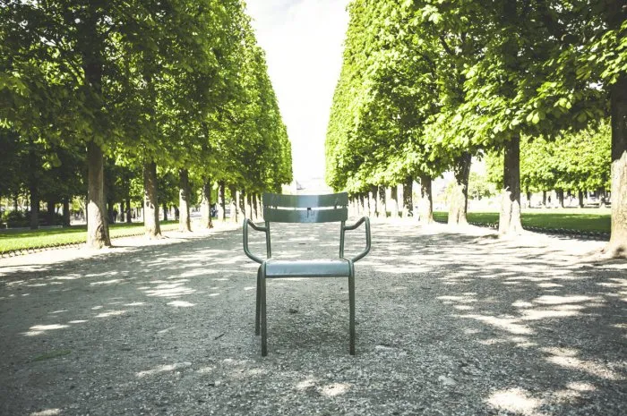 empty chair in the middle of public park with chestnut trees