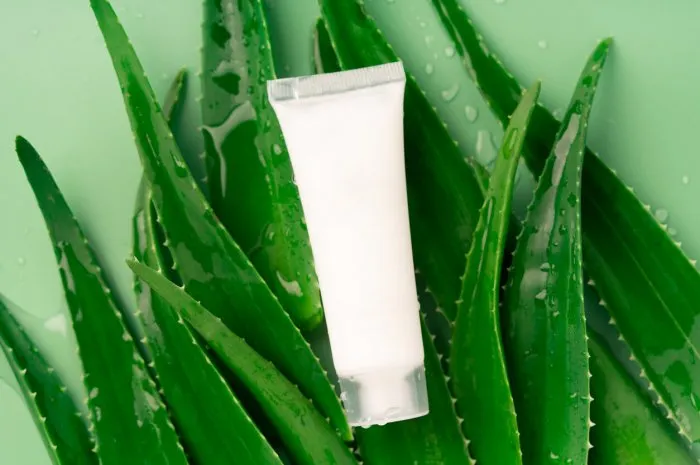 aloe vera leaves and white mockup cosmetic bottle on a light green background