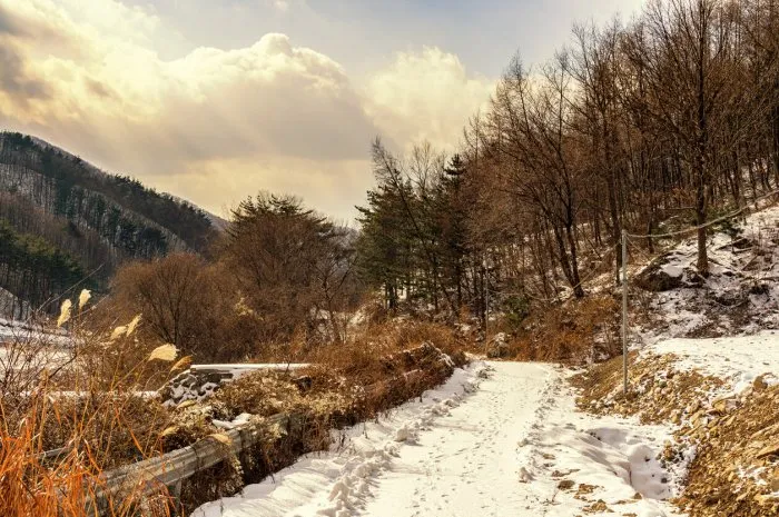 rural road covered in snow taken in south korea