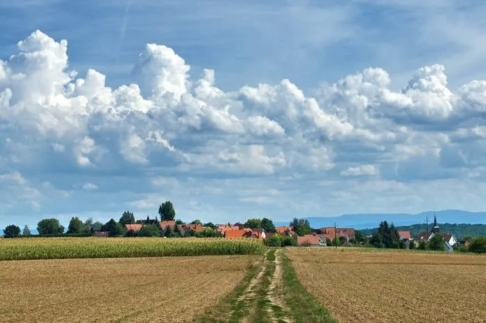 view over the fields to rural hunspach, bas-rhin department in the grand est region, france