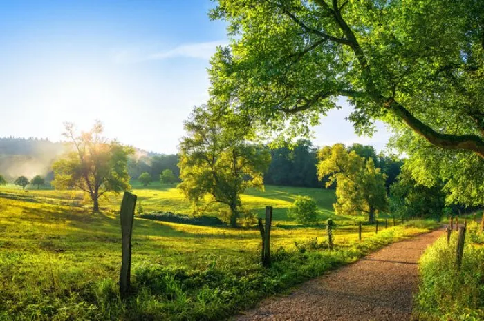 rural landscape with a path, trees and meadows on hills, blue sky and pleasant warm sunshine from the low sun