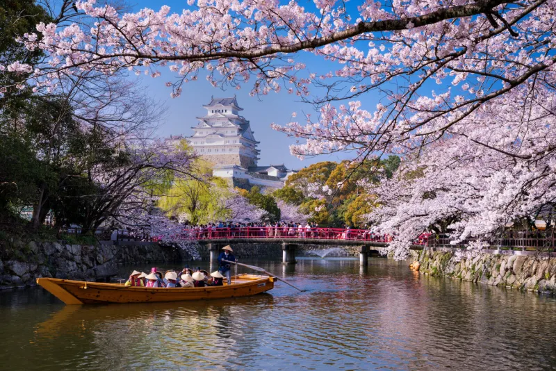 hyogojapan-april 6,2019a boat sails from the direction of himeji castle in springcherry blossoms bloom between april and may