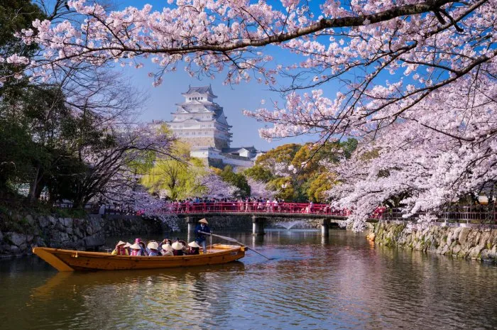 hyogojapan-april 6,2019a boat sails from the direction of himeji castle in springcherry blossoms bloom between april and may