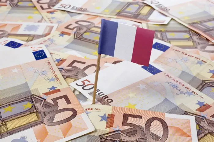 flag of france sticking in 50 euro banknotes(series)