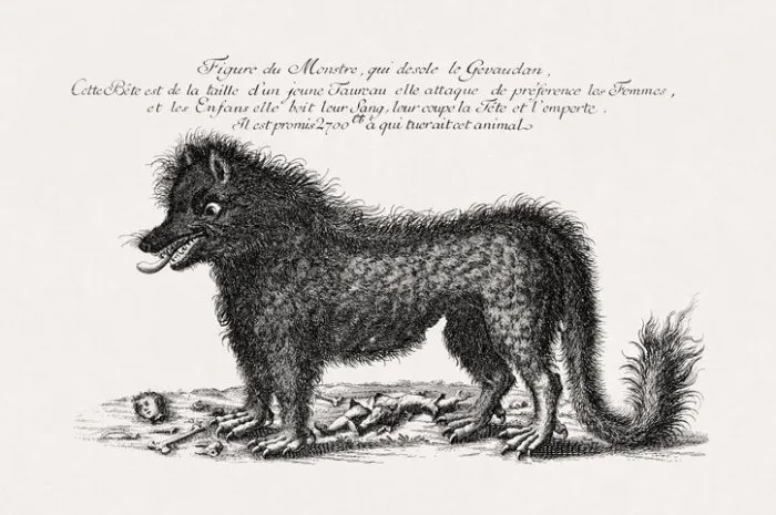 illustration depicting the beast of gevaudan the copper engraving dating from 1764 during the facts, offers anyone who kills it a reward