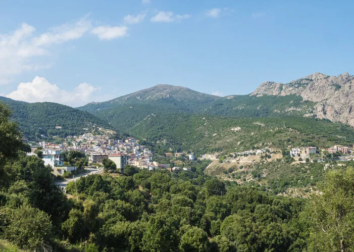 aerial view of village villagrande strisaili with limestone rocks, mountains and green forest vegetation summer sunny day province of nuoro, sardinia, italy, europe
