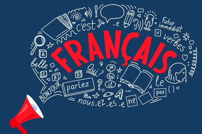 francais megaphone with language doodle bubble french,bonjour,parlez,qui,nous,pas,verbes,c'est,je,tu,il,belle,futur immédiat trans hello,speak, who,we, not, verbs,it is,i,you,he,beautiful,future simple