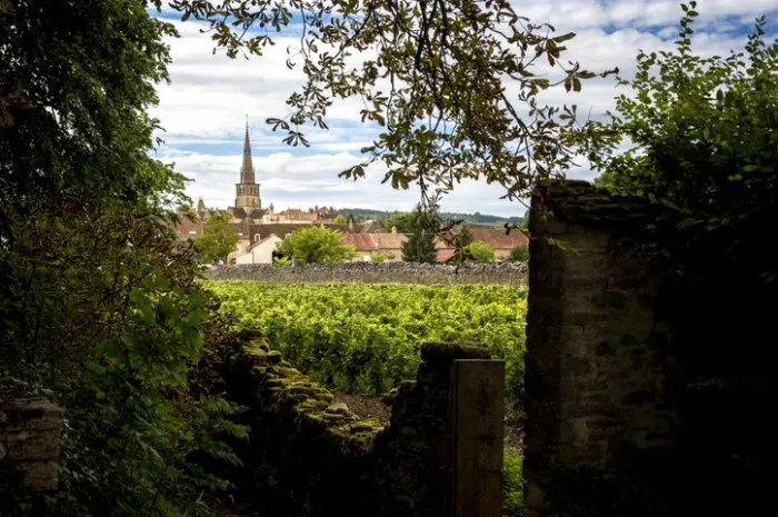 meursault view of the village from the walls of the château de meursault cote d'or, burgundy france