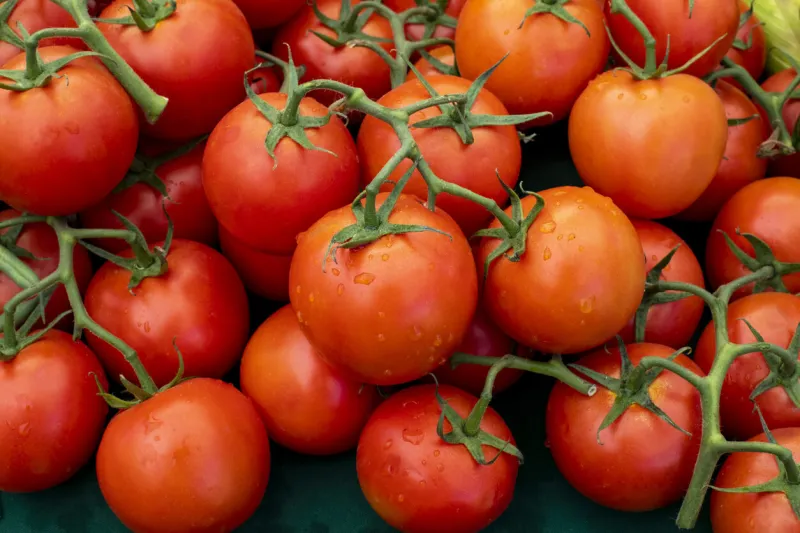closeup of pile of red vine tomatoes with droplets of water on farmers market stand