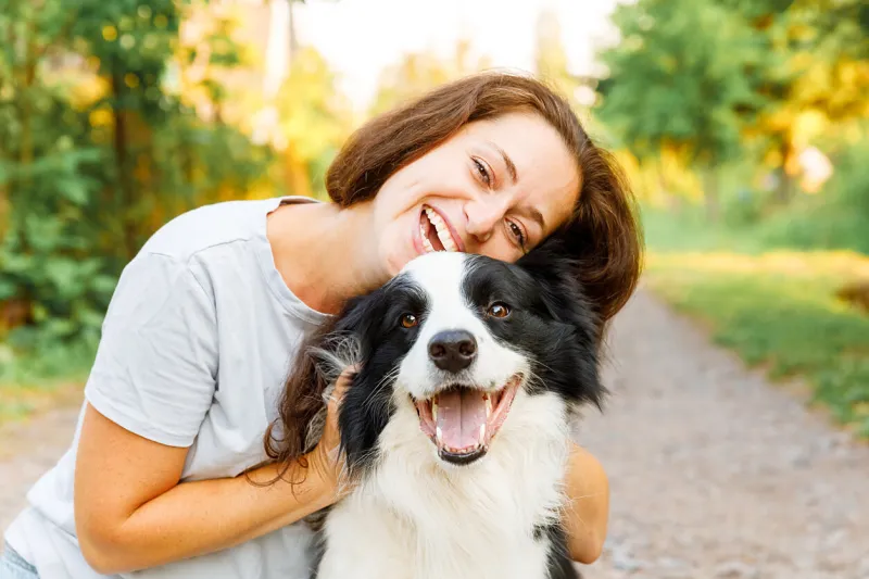 smiling young attractive woman playing with cute puppy dog border collie on summer outdoor background girl holding embracing hugging dog friend pet care and animals concept