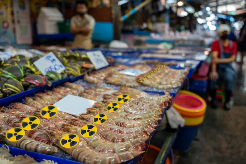 radioactively contaminated shrimp nuclear electric power waste water container radioactive to shrimp japan starts discharging treated water into the sea japan nuclear power plant into the ocean