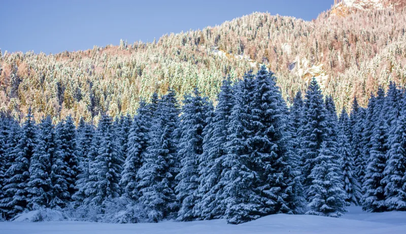 the blue sky a cold morning in the mountains