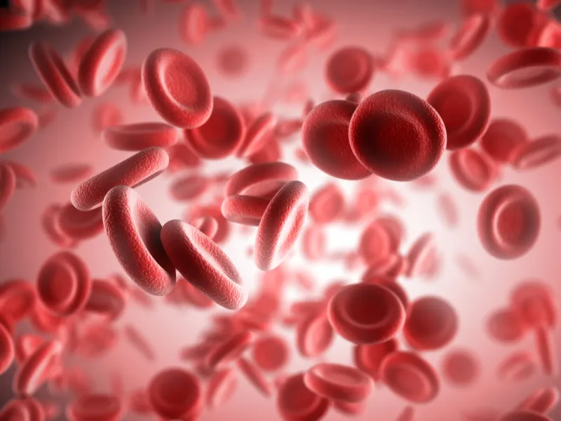 red blood cells