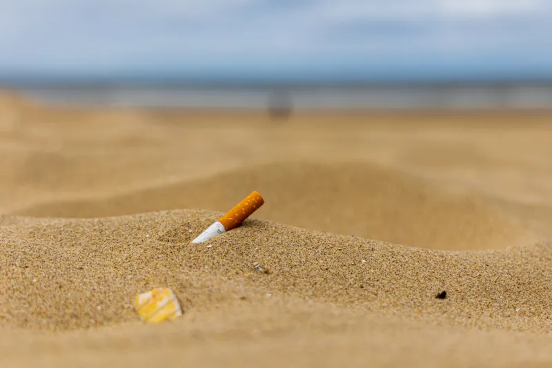 natural beach with cigarette butt litter
