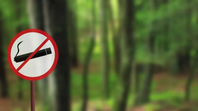 no smoking sign in the forest do not smoke outdoors protect the environment