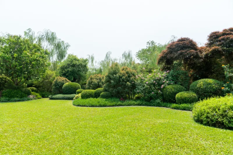 scenic view of a beautiful landscape garden with a green mowed lawn