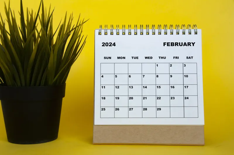 february 2024 month calendar with table plant on yellow cover background monthly calendar concept