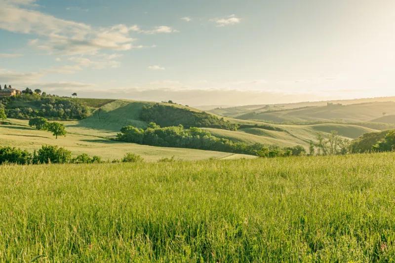 beautiful view of the spring landscape in tuscany, italy
