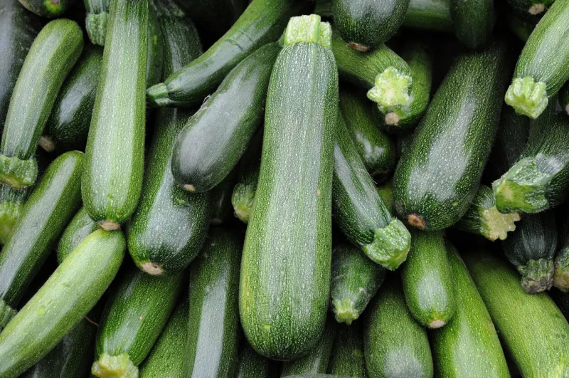 stall of zucchini on the market