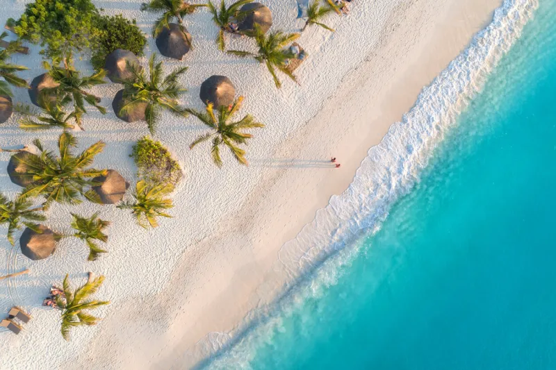 aerial view of umbrellas, palms on the sandy beach of indian ocean at sunset summer holiday in zanzibar, africa tropical landscape with palm trees, parasols, white sand, blue water, waves top view