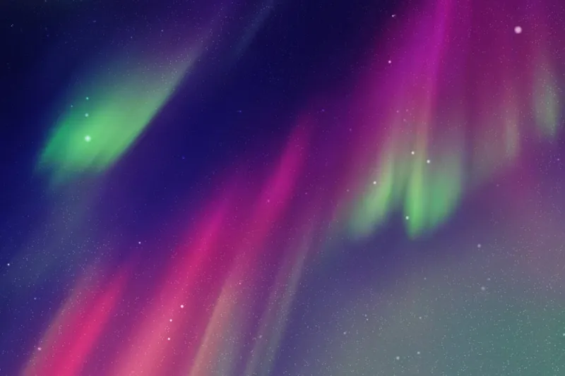 vector illustration with beautiful starry sky and northern lights