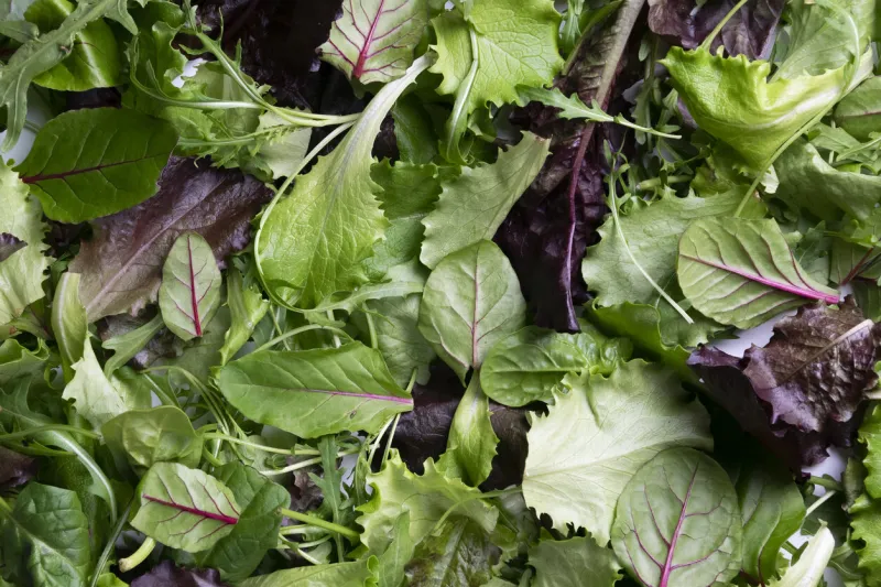 close up view of fresh salad mix leaves, healthy organic food ingredients