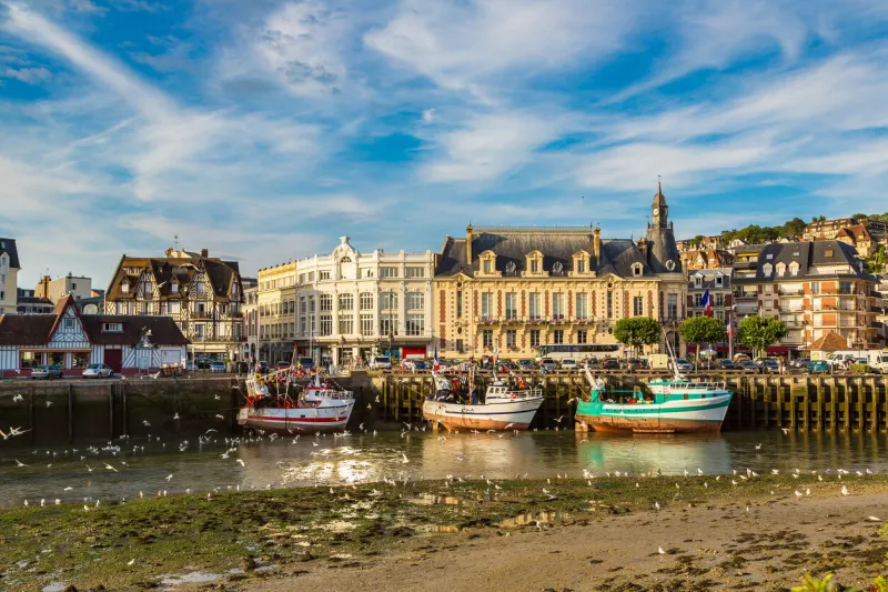 trouville and touques river and a lot of seagull in a beautiful summer day, france